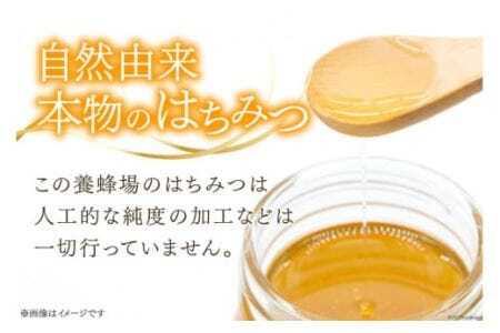国産 ハチミツ 600g 1個