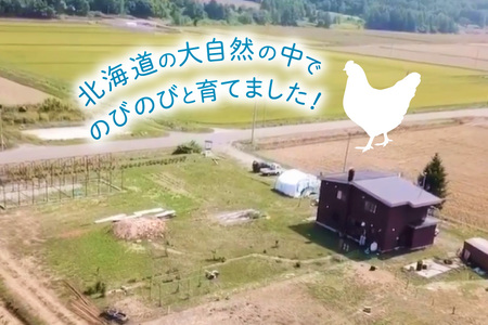 卵 平飼いのアローカナ卵 10個