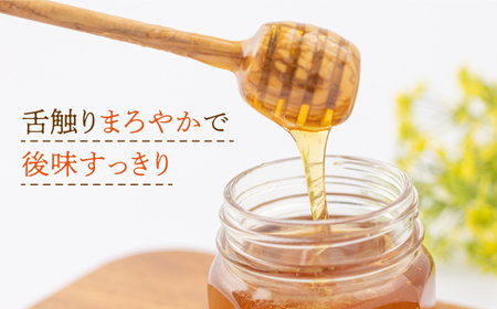 【長崎県産】大和蜜（天然はちみつ）280g×3本 長与町/蜜ロマン養蜂園[ECE005]  百花蜜 国産 純粋蜂蜜 日本みつばち 大和蜂蜜