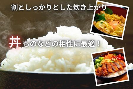 【令和６年産】埼玉ブランド米　彩のかがやき　20㎏