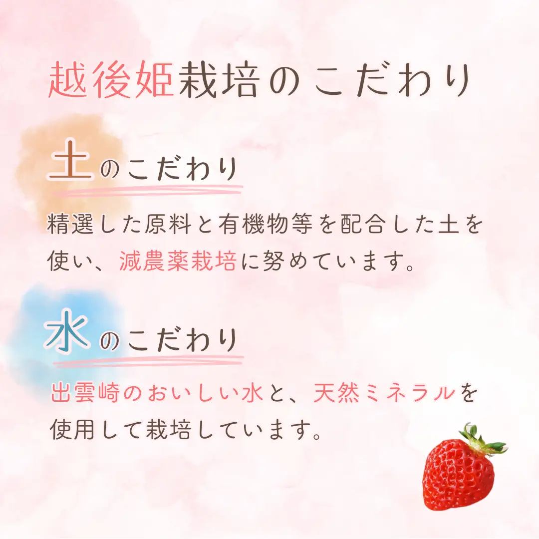 【いちごジャム】コンフィチュール ジャム （100g 3個） 越後姫 | ジャム 新潟県 出雲崎町