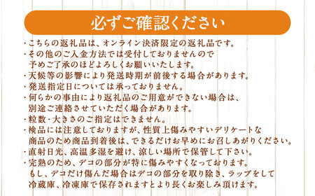 先行予約 不知火 約3kgセット ／ 季節限定 柑橘 かんきつ しらぬい フルーツ 果物 長崎県 長崎市 野中果樹園 オンライン決済限定 アフター保証  【2027年3月迄発送予定】