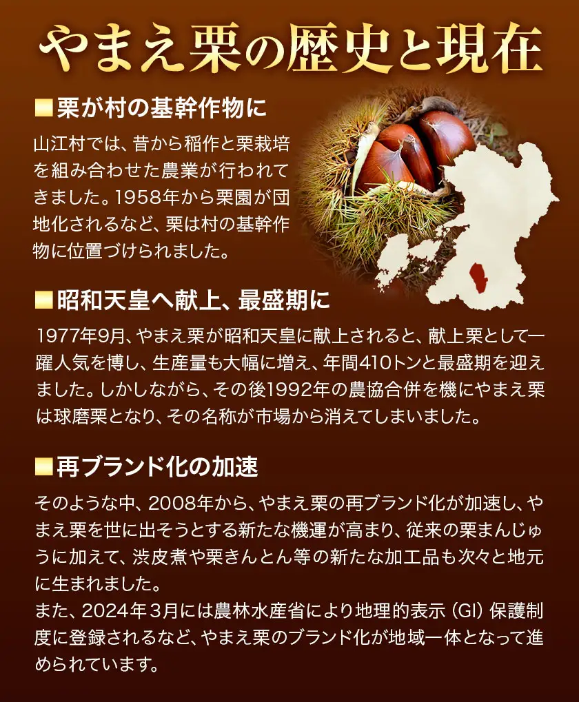 GI認証登録 山江村の やまえ栗 生栗 3kg 品種指定なし 筑波 美玖里 など旬の品種 やまえ栗ブランド部会 有限会社やまえ堂《9月上旬-10月下旬頃出荷》熊本県 球磨郡 山江村 栗 くり フルーツ 熊本県産 果物 早期 予約