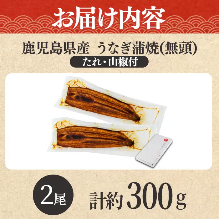 【0104347a-2610】＜10月上旬発送予定＞東串良町のうなぎ蒲焼(無頭)(2尾・計約300g・タレ、山椒付) うなぎ 高級 ウナギ 鰻 国産 蒲焼 蒲焼き たれ 鹿児島 ふるさと 人気 【アクアおおすみ】