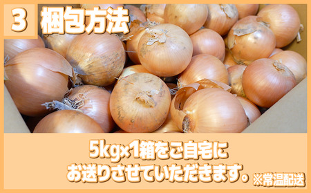 【2027年5-6月出荷】 訳あり 不揃い 玉ねぎ 5kg 先行予約 たまねぎ