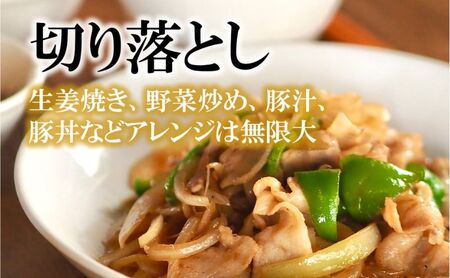 国産 豚肉 ブランド豚 豚 湘南豚 切り落とし 1.0kg 神奈川県産豚 豚肉 切り落とし小分け 便利 日常使い 肉 冷凍 株式会社羽根 神奈川 湘南 藤沢