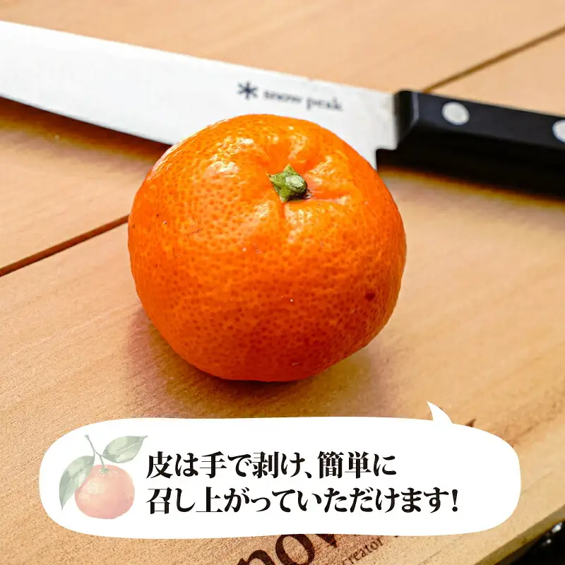 みかん 南柑20号 温州みかん 5kg コルレオファーム B010-145008