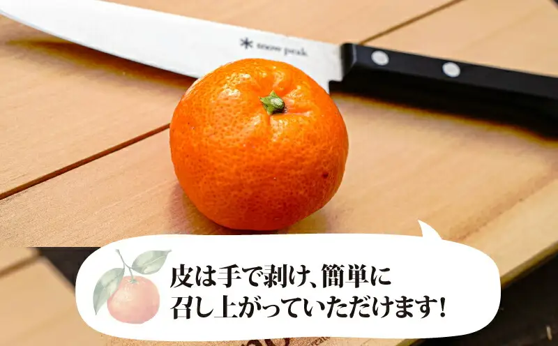 訳あり 南柑20号 温州みかん 10kg コルレオファーム わけあり 愛媛ミカン 愛媛みかん みかん フルーツ 柑橘 蜜柑 mikan 温州 果物 くだもの 人気のみかん 美味しいみかん 濃厚みかん 温州蜜柑 産地直送 数量限定 国産 愛媛 宇和島 B012-145009