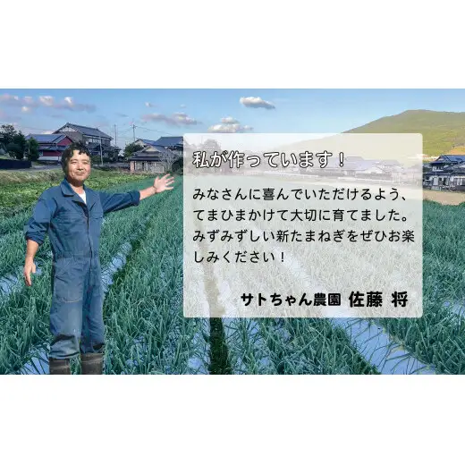 【2026年11月～発送】農家直送！サトちゃん農園のクリスマスオニオン 4kg 【サトちゃん農園】たまねぎ 新玉ねぎ しんたま クリスマス 料理 サラダ フレッシュ ごちそう | 10000円以内 1万円以内 | fu001