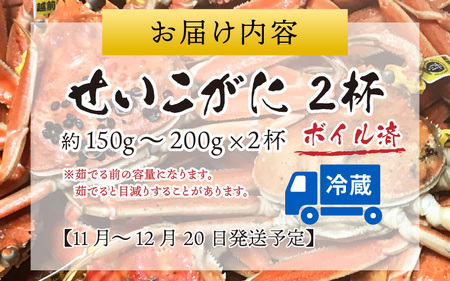 【先行予約】越前港より直送！ せいこがに（約150～200g）2杯※発送前に在宅確認の電話連絡をいたします!【11月～12月発送】  海鮮  ボイル 
