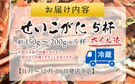【先行予約】越前港より直送！ せいこがに（約150～200g）5杯※発送前に在宅確認の電話連絡をいたします!【11月～12月発送】 海鮮  ボイル 