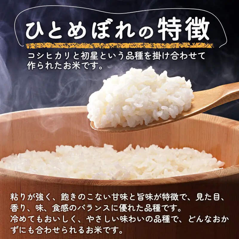 《令和8年産 新米》【玄米】 ＜通算5回 特A＞ ひとめぼれ 5kg 農家直送 渡部さんのひとめぼれ