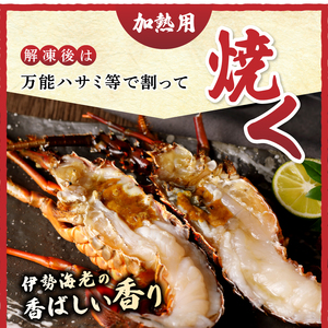 伊勢海老 三昧セットC 刺身用＋焼物用 (b100-035)
