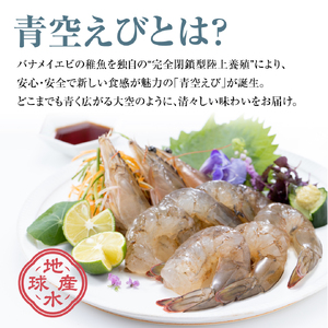 青空えび（和名：シロアシエビ）２パック入り【conn0001】