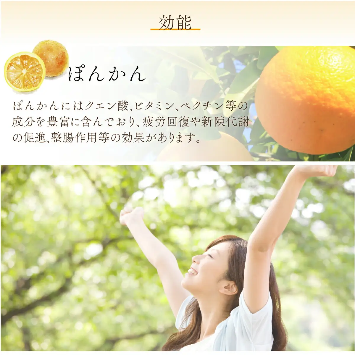 飲むゼリー　ぽんかん＆ゆず　F142 [F-09] 【株式会社フクチャンFARM】