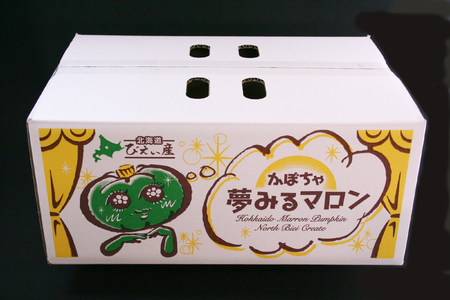 かぼちゃ 10kg ≪令和8年産予約受付！≫おおとり 夢みるマロン 南瓜 