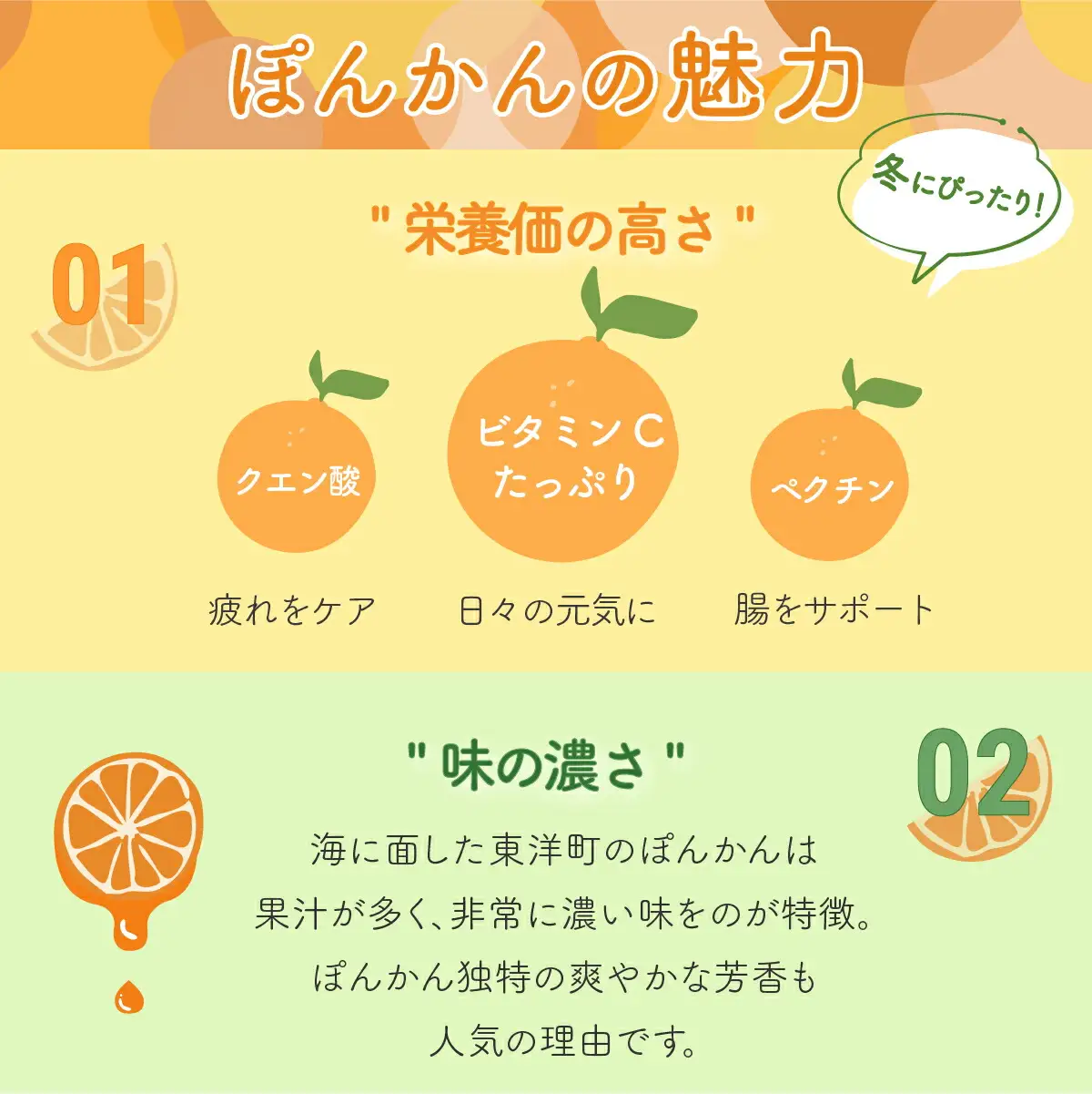 ポンカン 10kg〈贈答用〉【畠口農園（畠口　伸二）】