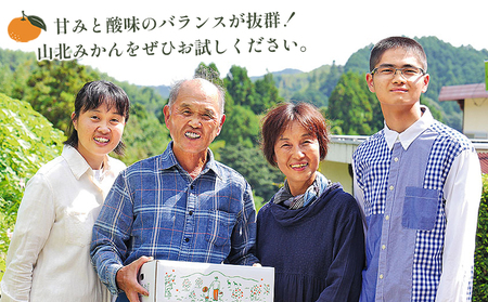 家庭用 柳本果樹園の山北みかん 3kg 大小混合(2S～L) - 果物 フルーツ 柑橘類 温州みかん ミカン 蜜柑 甘い おいしい 訳あり キズ 大小混合 期間限定 季節限定 数量限定 高知県 香南市 yg-0034