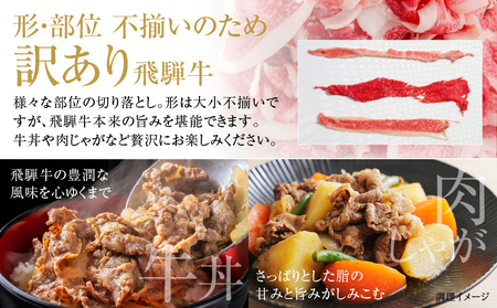 訳あり 飛騨牛 切落とし 600g 黒毛和牛 和牛 飛騨高山ミート [MZ012]