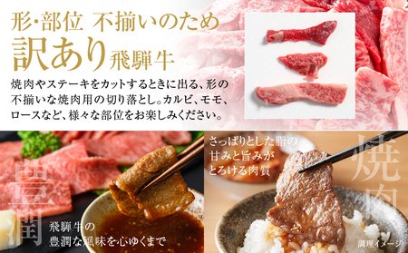 訳あり 飛騨牛 焼肉 切り落とし 500g 訳あり 飛騨高山ミート [MZ013]