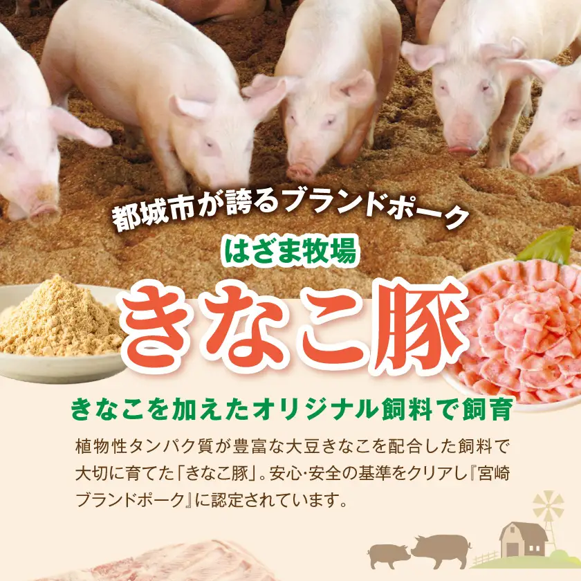 「きなこ豚」加工品Aセット〔MJ-1208〕_(都城市) きなこ豚 ブランド豚 銘柄豚 ブランドポーク ミートボール ハンバーグ フランク ウインナー ソーセージ 生ハム 加工品 おかず 冷凍
