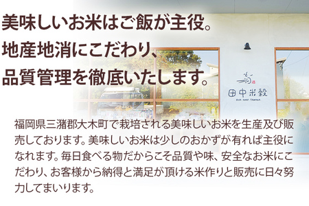 米 無洗米 白米 ご飯 ひのひかり 10kg 令和5年産 無洗米 福岡県 大木町産 ヒノヒカリ 10kg （5kg×2袋） 福岡県 大木町 株式会社田中米穀 BC10