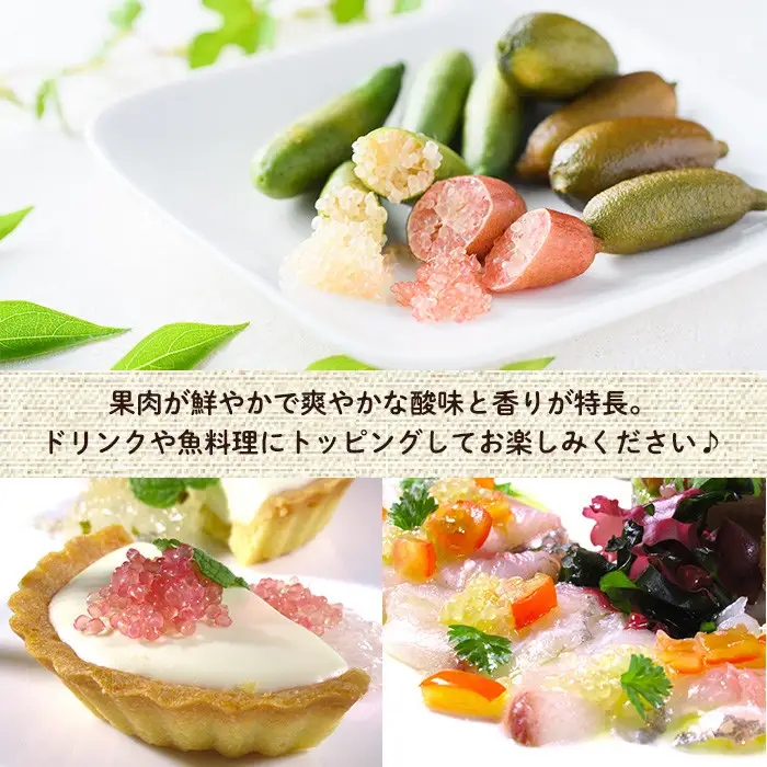 ＜先行予約受付中！2026年10月から順次発送予定＞＜数量限定・期間限定＞宮崎県門川町産フィンガーライム(70g) 柑橘 門高 【AU-3】【宮崎県立門川高等学校】