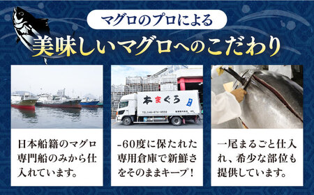 【全3回定期便】【訳あり】天然 まぐろ 赤身（約1kg） わけあり ワケあり 鮪 マグロ 魚 刺身 まぐろ あかみ 横須賀【横須賀商工会議所 おもてなしギフト事務局（本まぐろ直売所 横須賀本店）】 [AKAK056]