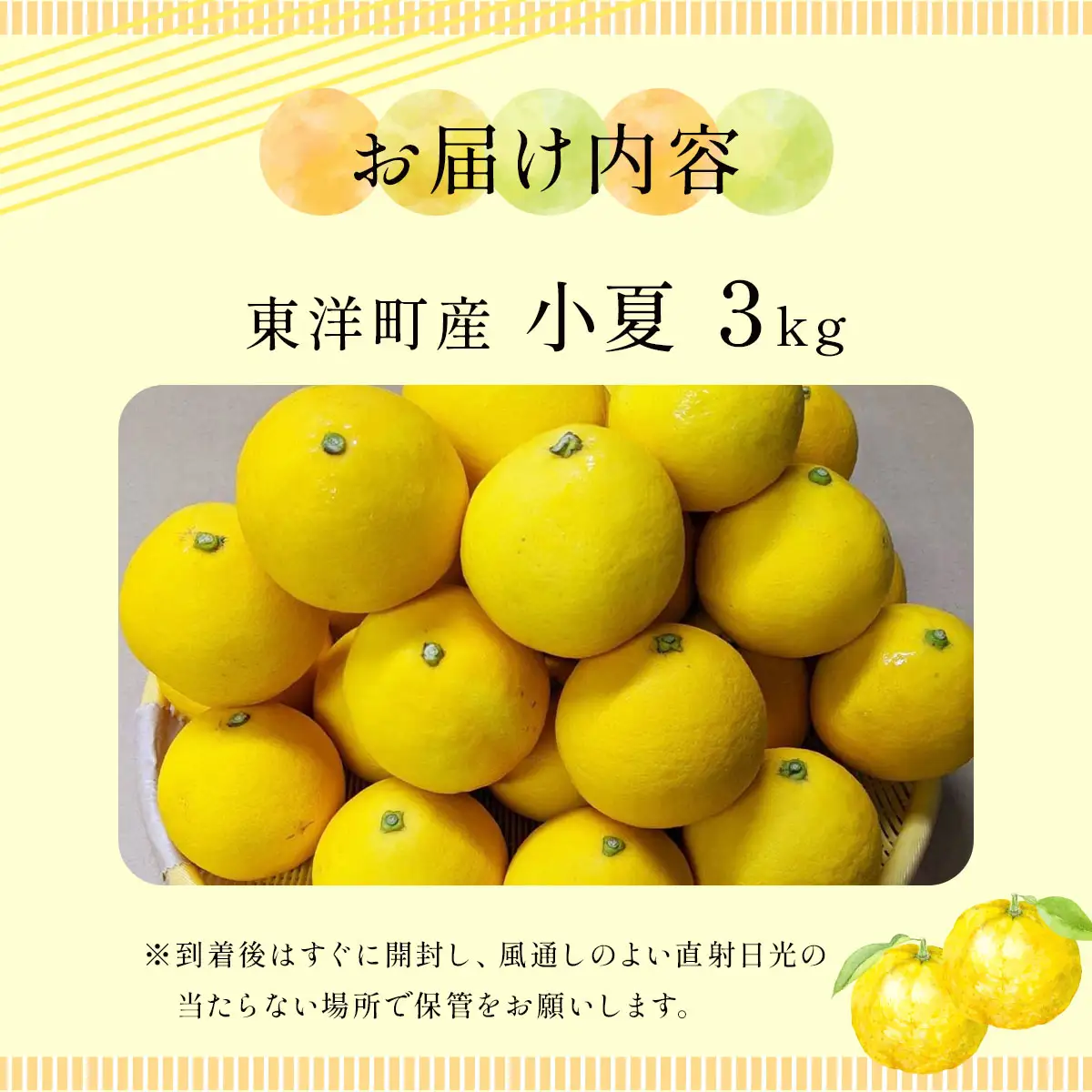 小夏　3kg　TA15 　【田中農園】