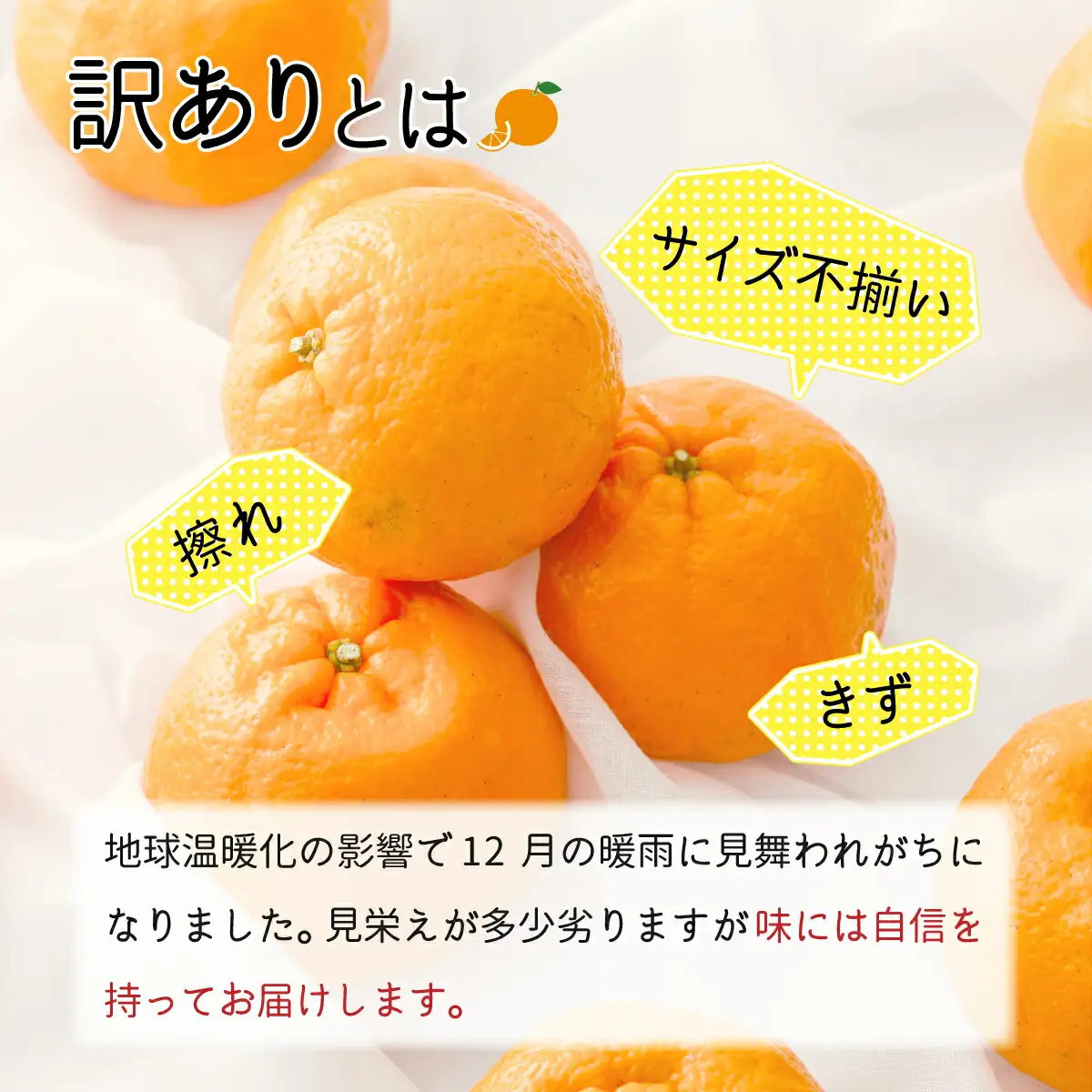 訳ありポンカン 3kg（3Lサイズ）【田中農園】