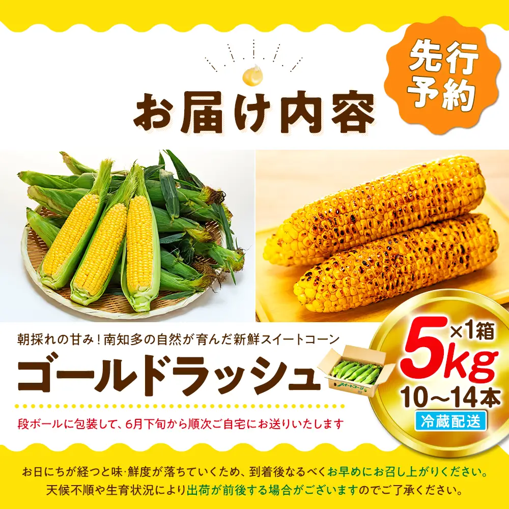 【2027年先行予約 6月下旬から出荷】 スイートコーン 約5kg 10-14本 冷蔵 国産 先行予約 数量限定 コーン 野菜 新鮮 焼き 蒸し 産地 直送 甘い 甘口 子ども 子供 小分け 種子 肥料 さわやか すっきり 糖度 黄色 人気 おすすめ 愛知県 南知多町