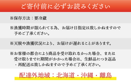 【先行予約】越前港より直送！ 越前がに 大 (約1kg～1.2kg) 2杯 ※発送前に在宅確認の電話連絡をいたします!【1月～3月発送】  海鮮  ボイル 