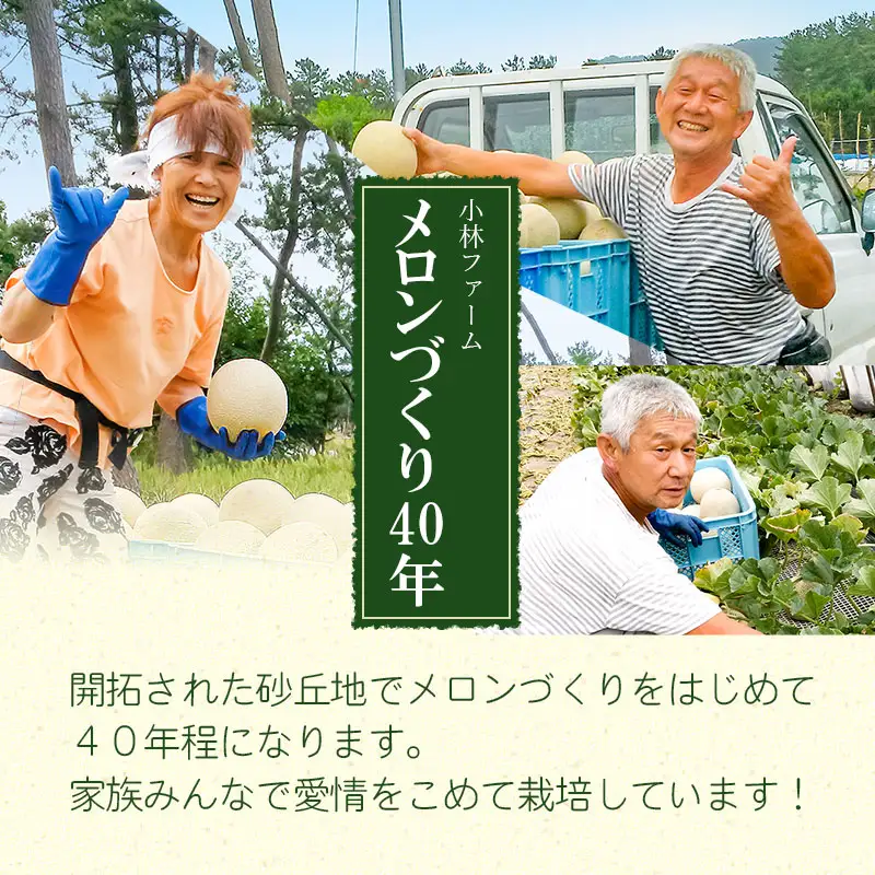 【令和8年産】 秋どりアンデスメロン 約5kg (3～4玉入) 山形県鶴岡市産 庄内砂丘メロン　小林ファーム　| メロン めろん 秋採り 秋収穫 秋メロン フルーツ 果物 くだもの デザート 産地直送 山形 鶴岡 庄内 庄内産 東北 人気 おすすめ 美味しい 贈答 国産 お取り寄せ 返礼品