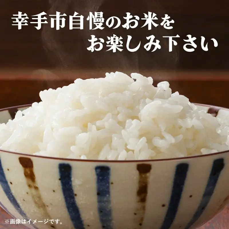 令和7年幸手産 こしひかり【精米】5㎏×2袋 - コシヒカリ 精米 10kg 令和7年産 埼玉県 幸手市 幸手市産