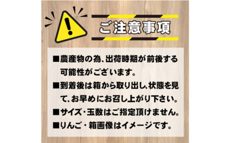 MZ14 サンふじ＆シナノゴールド食べ比べセット 約5kg 贈答 / 2026年12月中旬頃〜12月下旬頃配送予定 // 長野県 南信州 りんご 食べ比べ 詰め合わせ 贈答 ギフト 黄色りんご サンフジ