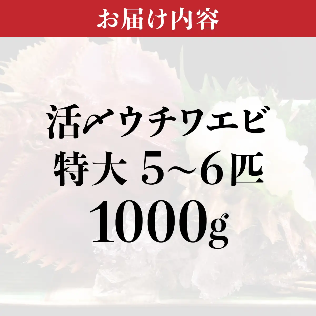 活〆ウチワエビ特大 1000g(5～6尾)