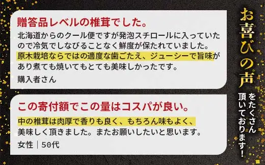 【先行予約】2026年9月以降順次発送 原木栽培 生椎茸 約1kg 里の恵 しいたけ シイタケ きのこ キノコ 椎茸 野菜  F21X-570
