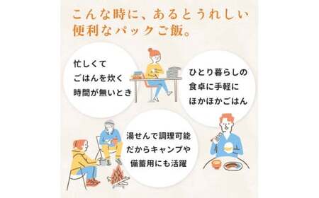 レトルトご飯 ふっくりんこ　今金濃米 （24個×200g）ごはんパック レトルト  米 お米 コメ ごはん ご飯 食品 北海道 今金町 F21X-449