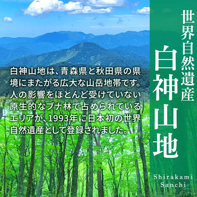 サイダー 白神山麓水使用 はっぽうサイダー 330ml×12本