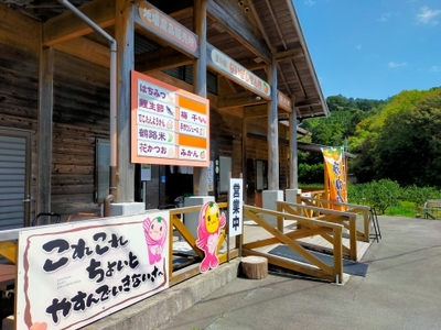 梅干し 計600g 無添加 うめぼし 小粒うめぼし