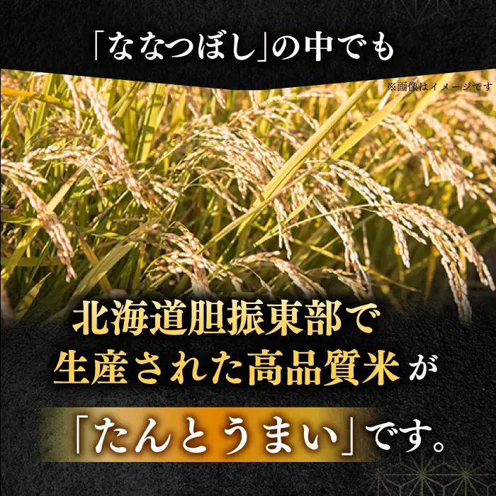 令和7年産 令和8年産 【全3回定期便】ななつぼし [たんとう米] 5kg 米 定期便 3カ月 連続 毎月 お米 白米 ご飯 ななつぼし 北海道 [AXAB019]