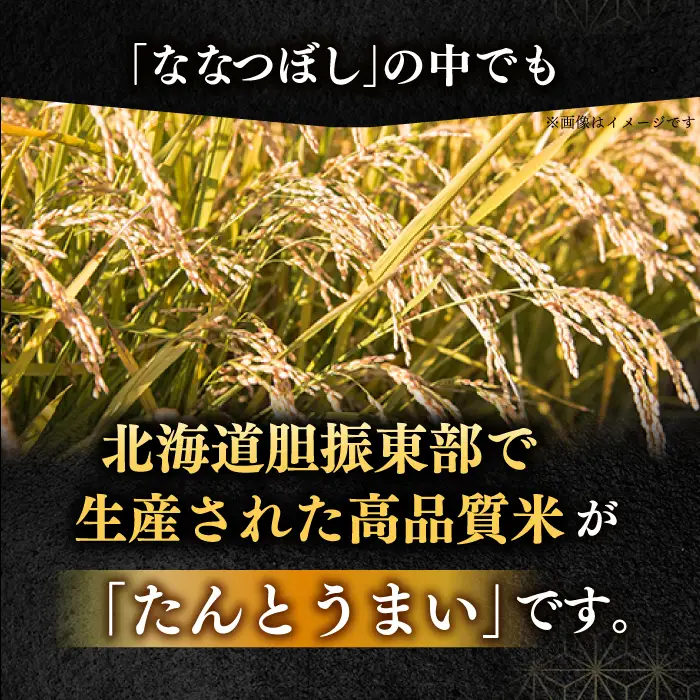 【令和7年産】ななつぼし [たんとう米]10kg コメ 北海道 [AXAB026]