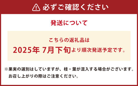 【2ヶ月毎6回定期便】大分県久住高原産 『手摘みブルーベリー』 冷凍ブルーベリー 1kg 計6kg 【2025年7月下旬より順次発送開始予定】