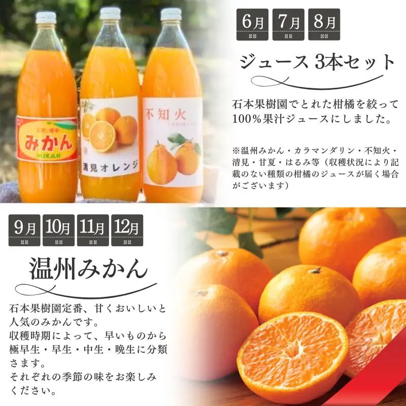 【1～12月】柑橘 定期便 石本果樹園【全12回】【tkb507】