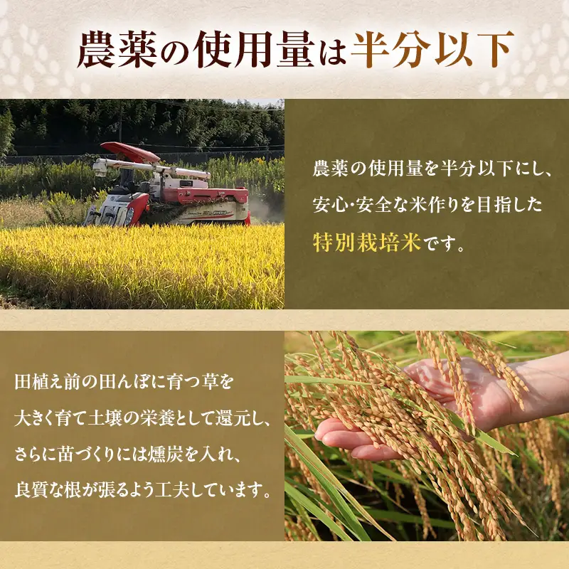 にこまる 特別栽培米 令和7年産 白米 にこまる【2kg】