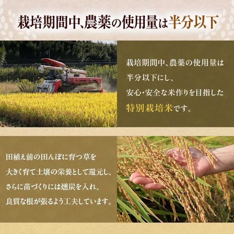 にこまる 特別栽培米 令和8年産 白米 にこまる【10kg×3回】