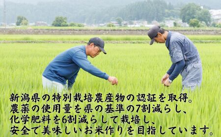 【令和8年産 新米】新之助 5kg 早川の清流が育んだ美味しいお米 新潟県糸魚川産 2026年 磯貝農場【しんのすけ 米 お米 こめ ご飯 ライス ふるさと納税米 食品 人気 おすすめ お弁当 おにぎり ギフト 新潟県の新しいブランド米 農家直送 5キロ 精米】