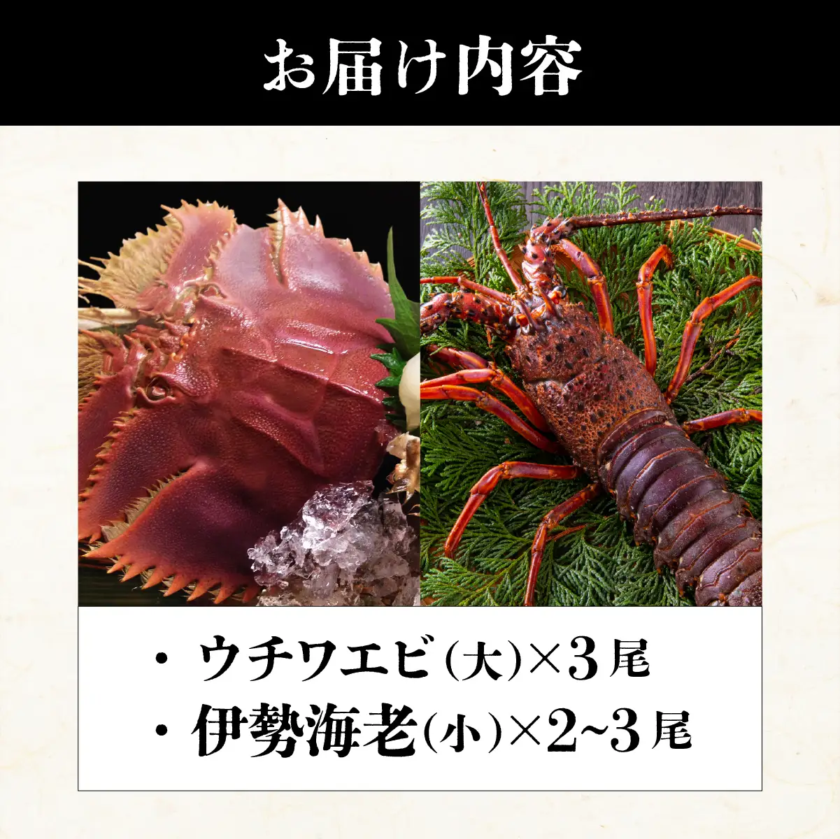ウチワエビ(大)×3尾＆伊勢海老(小)×2~3尾の豪華セット