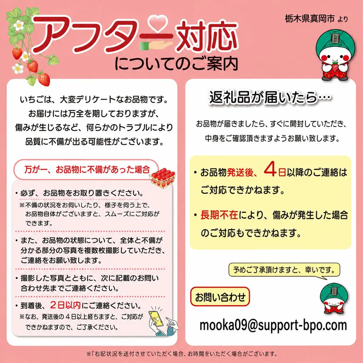 スカイベリー（贈答向け）【2月発送】約560g 真岡市 栃木県 送料無料