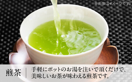 【数量限定】急須で飲むこだわりの亀山茶 （急須付き）/ 茶 ちゃ お茶 おちゃ 緑茶 りょくちゃ 日本茶 茶葉 煎茶 急須 / 亀山市 / 三重茶農業協同組合[AMAG005]